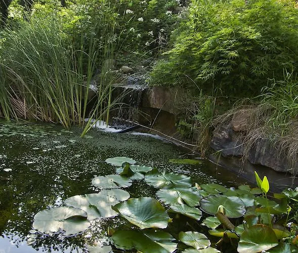 Naturfreundehaus Rahnenhof 2* Carlsberg