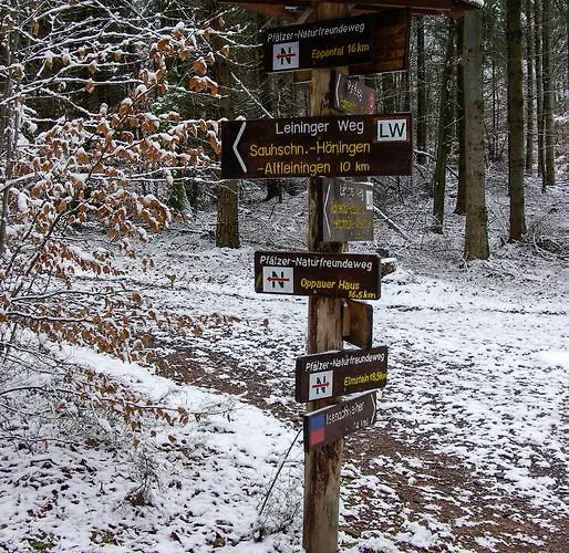 Naturfreundehaus Rahnenhof מלון 2*